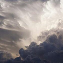 جازان.. فريق طبي ينقذ مصابًا تعرض لصعق كهربائي وسقوط من ارتفاع