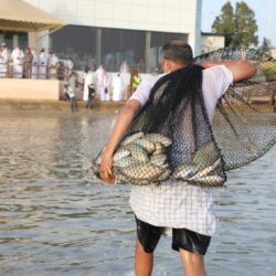 “الصحة”: تسجيل 904 حالات إصابة بكورونا.. وتعافي 540 خلال الـ24 ساعة الماضية