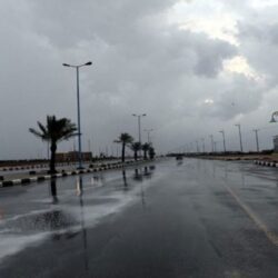 بالفيديو.. نجاح إجراء الاختبارات النهائية بكلية التطبيقات ببيش