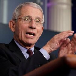 13 خدمة ذات قيمة مضافة تجمعها التعاونية تحت مظلة “تاج”