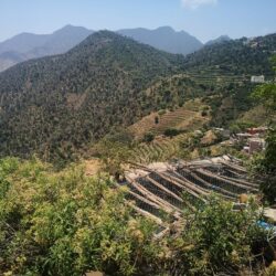 “الصحة”: تسجيل 1183 حالة إصابة بكورونا.. وتعافي 1040 خلال الـ24 ساعة الماضية