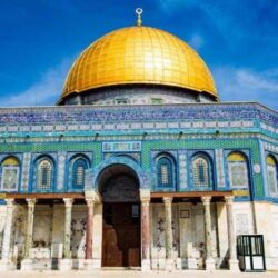 الرياض.. الإطاحة بمواطن ارتكب عدة جرائم سطو على المحال التجارية واعتدى على العاملين فيها