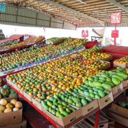 مطار الملك عبدالله بن عبدالعزيز بجازان يشهد تسيير أولى الرحلات الدولية إلى القاهرة