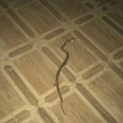 “تمريض جازان” تطلق مشروعًا لتطوير مهارات كوادرها بأقسام الطوارئ