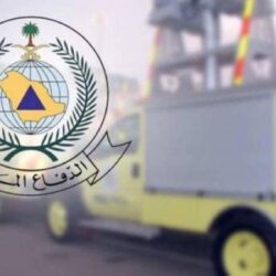 شاهد.. صورة أخوية تجمع ولي العهد والرئيس المصري