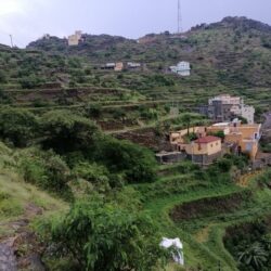 “الصحة”: تسجيل 1109 حالة إصابة بكورونا.. وتعافي 1148 خلال الـ24 ساعة الماضية