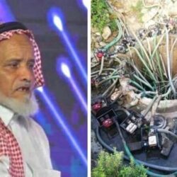 “تنمية الطوال” تنفّذ برنامج “تنمية قدرات اللغة الإنجليزية”.. الثلاثاء المقبل