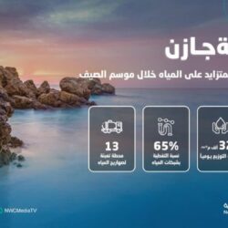 أمير منطقة جازان يستقبل المشرف على الهيئة العليا للأمن الصناعي