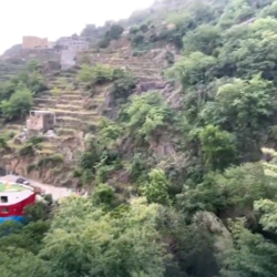 أمير منطقة جازان وسمو نائبه يعزيان في وفاة محافظ الطوال