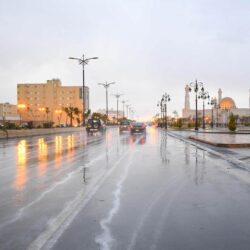 بعد 20 عامًا من النسيان.. “البناء الذاتي” يخرج “فلس جازان” من عزلته