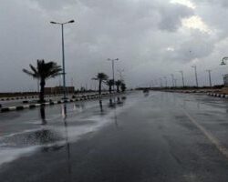 مياه جازان تزرع ٤٠٠٠ شتلة ضمن مبادرة ” لنجعلها خضراء”