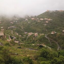 جازان.. 1246 عملية قلب مفتوح وقسطرة بمستشفى الأمير محمد بن ناصر