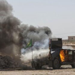 بحيص حكمي تحت مجهر نجوم الساحل