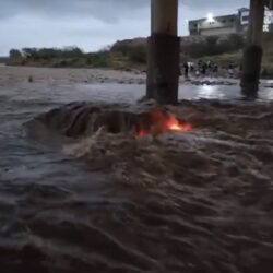 “الصحة”: تسجيل 1256 حالة إصابة بكورونا.. وتعافي 1155 خلال الـ24 ساعة الماضية