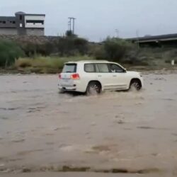 شاهد.. جبال “آل يحيى” بجازان تتزين بسحر الطبيعة بعد هطول الأمطار