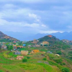 “الصحة”: تسجيل 1194 حالة إصابة بكورونا.. وتعافي 1164 خلال الـ24 ساعة الماضية