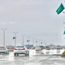 “الأمن العام” يستعرض عدداً من الجرائم والقبض على مرتكبيها