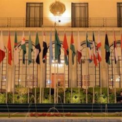 أمطار غزيرة على صبيا مصحوبة برياح تقتلع الأشجار والهناجر