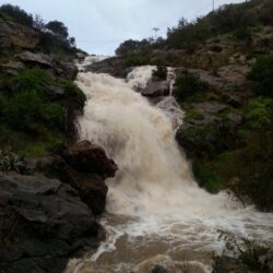 المخابرات الروسية تعتقل قنصل إستونيا بدعوى حصوله على “وثائق سرية”