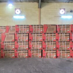 نائب أمير جازان يستقبل مدير إدارة سجون المنطقة المعيّن حديثاً