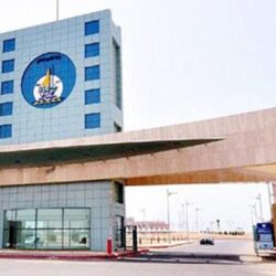 الإهمال يحوِّل مقبرة بالعارضة لمقر للحيوانات الضالة