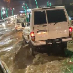 محافظة الدائر تكشف تفاصيل مقطع متداول لسيدة متضررة من الأمطار