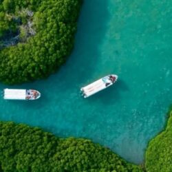 “الصحة”: تسجيل 224 حالة إصابة بكورونا.. وتعافي 338 خلال الـ24 ساعة الماضية