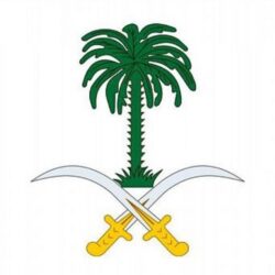 “الصحة”: تسجيل 83  حالة إصابة بكورونا.. وتعافي 75 خلال الـ24 ساعة الماضية