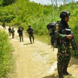 “شركة التنمية الغذائية” ترعى مهرجان ولي العهد للهجن