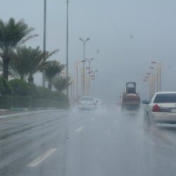 “آمنون يا وطن”.. “رئيس غرفة جازان” يدشن هوية فعاليات اليوم الوطني 91