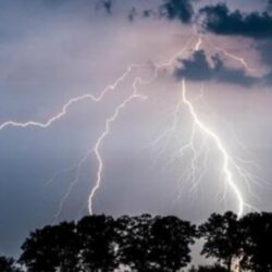 شغب محتمل لأنصار “ترامب” بمحيط “الكابيتول”.. والأمن الأمريكي يتهيأ