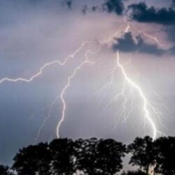 إحباط نقل 31 مخالفًا لنظام أمن الحدود بـ”جازان”