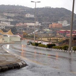 شرطة جازان تضبط 197 كجم من الحشيش