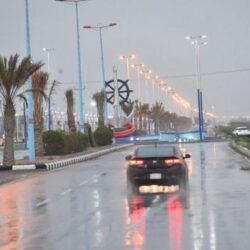 وزير الزراعة: “الشرق الأوسط الأخضر” تؤكد حرص المملكة على إيجاد حلول فاعلة لحماية البيئة