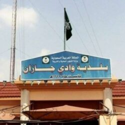 انطلاق المناورات البحرية بين القوات السعودية والأميركية