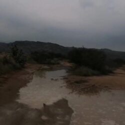 “الشؤون الإسلامية” بجازان: تخفيف إجراءات كورونا الاحترازية لن تشمل المساجد (فيديو)