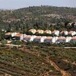 “الصحة”: تسجيل 47 حالة إصابة بكورونا .. وتعافي 36 خلال الـ 24 ساعة الماضية