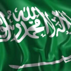 ضَبْط مواطن بالقصيم يتباهى بعرض كائنات فطرية برية تم اصطيادها