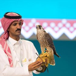 محمية الإمام تركي الملكية تزرع 3 آلاف شجرة بفياض لينة جنوب رفحاء