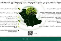 الغطاء النباتي في عسير