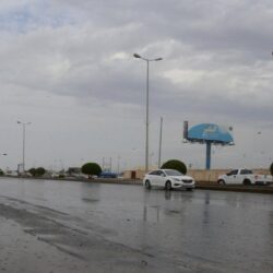 ضبط ٣ ملايين إبرة أنسولين منتهية الصلاحية في جازان