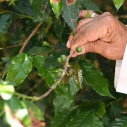 مجهولون يحرقون سيارة “الريث” السياحية.. والأمن يحقق (صور)