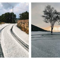 العثور على سمكة حية يعود تاريخها لـ420 مليون عام