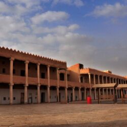 تستعدالمملكة لاحتضان أكبر مهرجانات الإبل في العالم