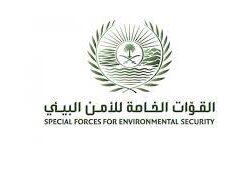 انطلاق مناورات تمرين (رماية الخليج 2021) في دولة الكويت بمشاركة القوات البرية الملكية السعودية