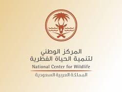 باكستان تجري تجربة ناجحة على صاروخ كروز