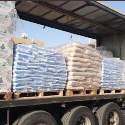 الأمجاد يتوج بطلًا لبطولة كرة القدم التنشيطية في شتاء جازان