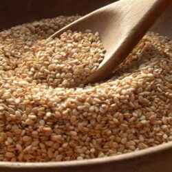 سمو أمير جازان يرعى افتتاح فعاليات “مهرجان عسل جازان” السابع غدا