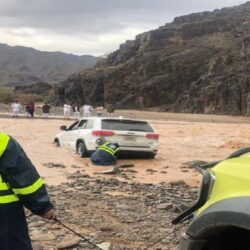 الصحة : تسجيل (5281) إصابة مؤكدة وتعافي (2996) حالة شاهد: المدن التي سجلت أعلى إصابات بكورونا خلال الـ 24 ساعة الماضية