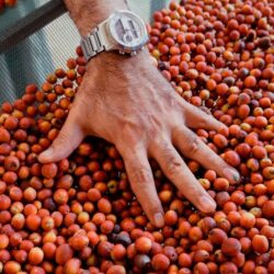 ضمن دورة عميد الصوارمة الشتوية الخامسة مباريات اليوم السبت 19/6/1443ـ